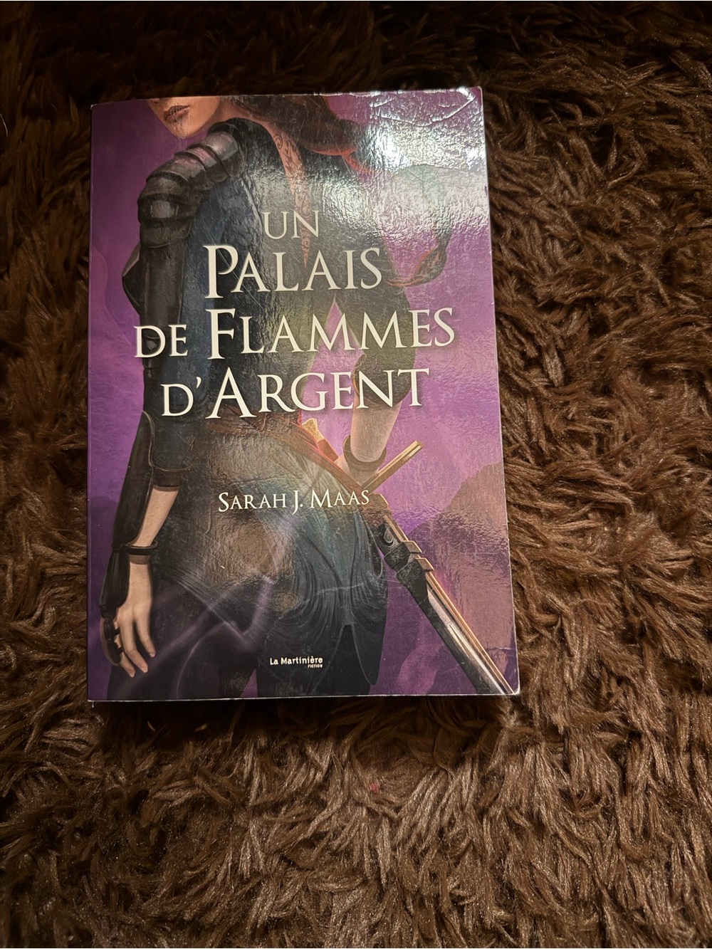 Un palais de flammes d’argent- Tome 5